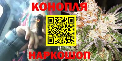 стафф Аргун