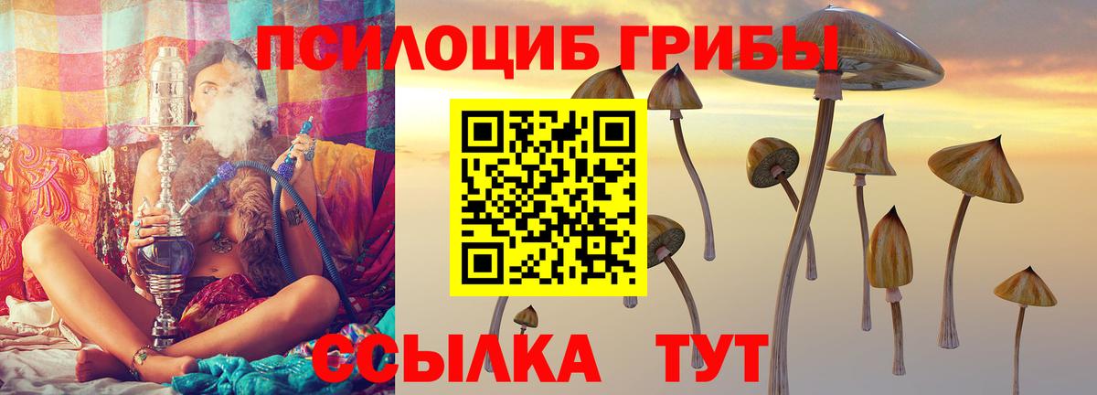 Владикавказ  Псилоцибиновые грибы ЛСД  Вход с VPN 