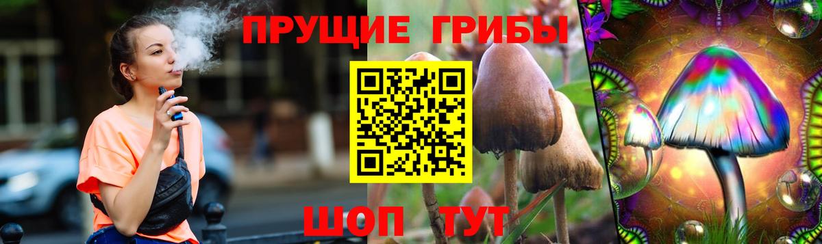 Псилоцибиновые грибы MAGIC MUSHROOMS Владикавказ